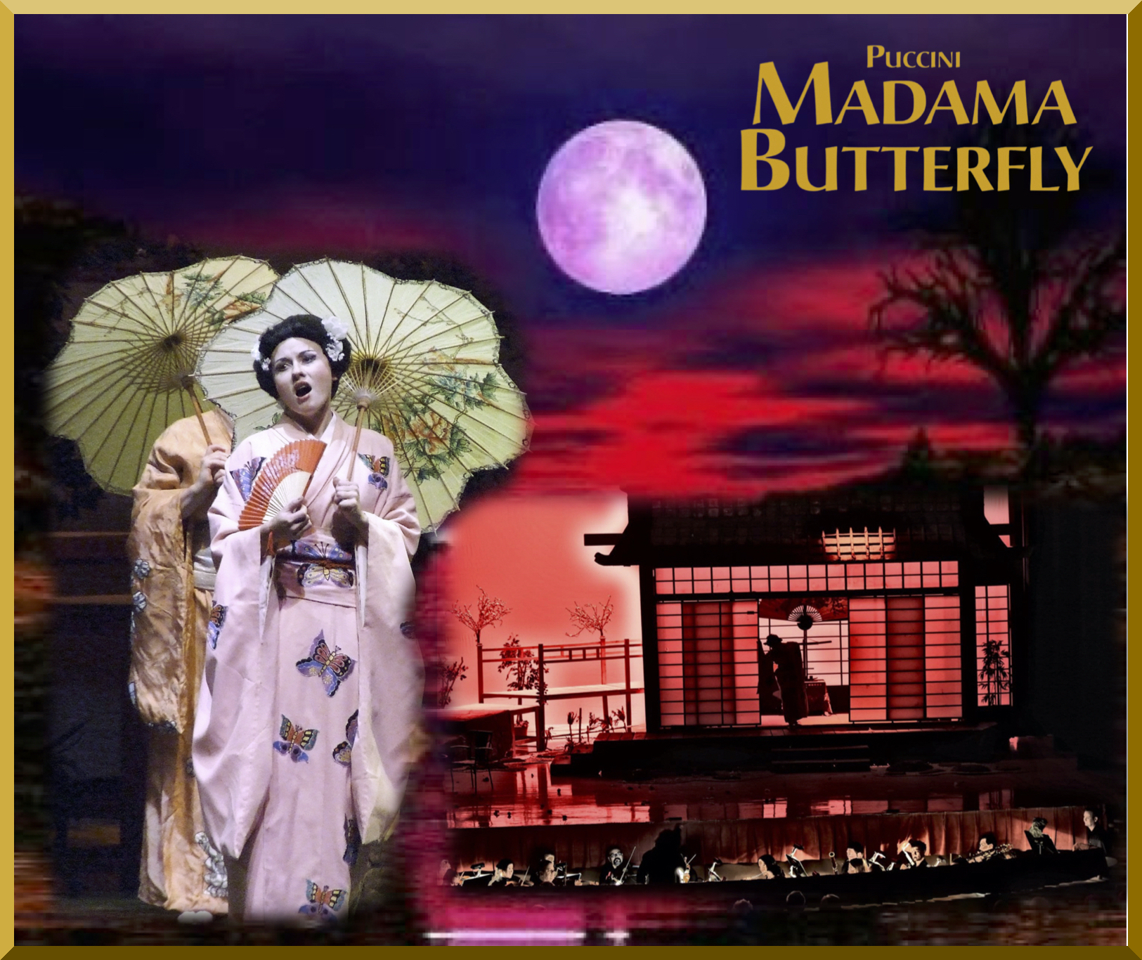 Image of Madama Butterfly