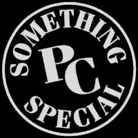 Something Special Big Band logo